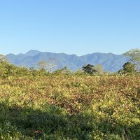 Manas Wildlife Sanctuary
