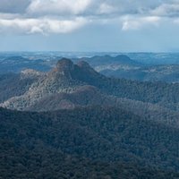 Gondwana Rainforests