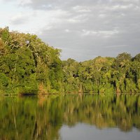 Manu National Park
