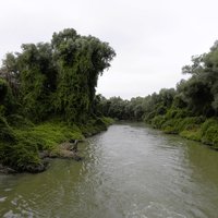 Danube Delta