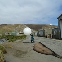 Macquarie Island