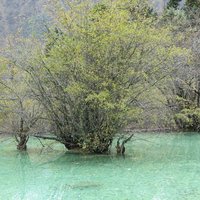 Huanglong