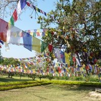 Lumbini