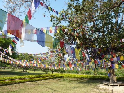 Lumbini by Clyde