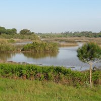 Donana National Park