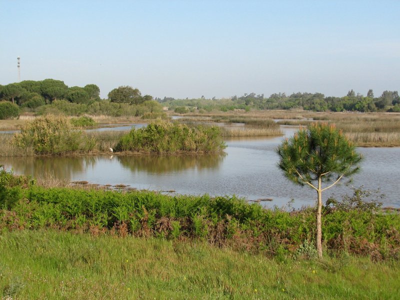 Donana National Park by Els Slots