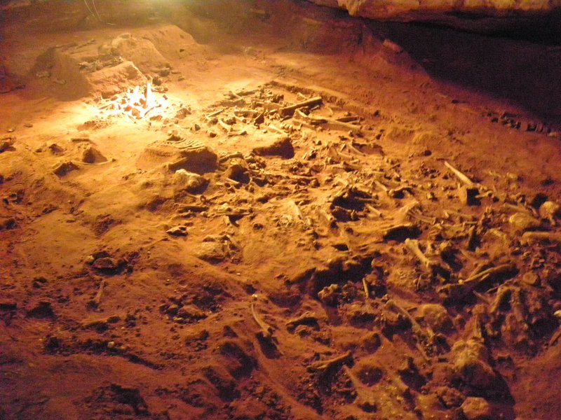 Australian Fossil Mammal Sites by Els Slots
