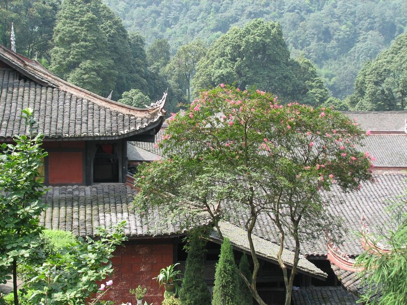Mount Emei, including Leshan Giant Buddha by Els Slots
