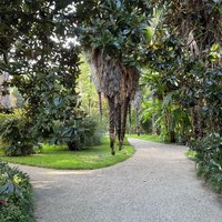 Botanical Garden, Padua