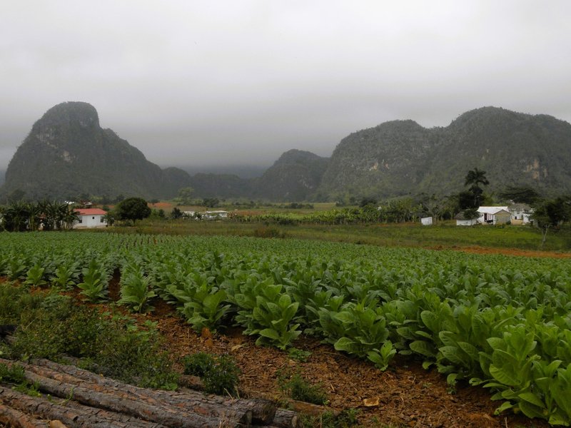 Viñales Valley by Els Slots