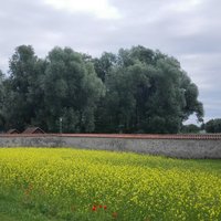 Reichenau