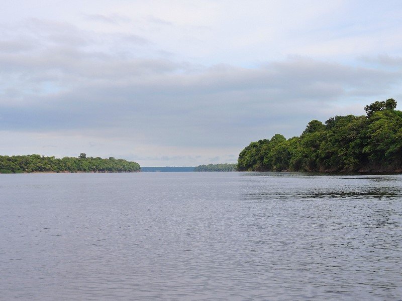 Central Amazon Conservation Complex by Michael Ayers